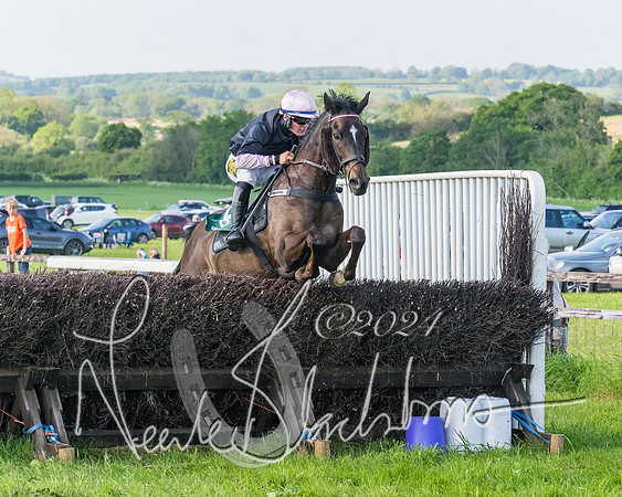 Race 7 - Veteran Horse (160 of 246)