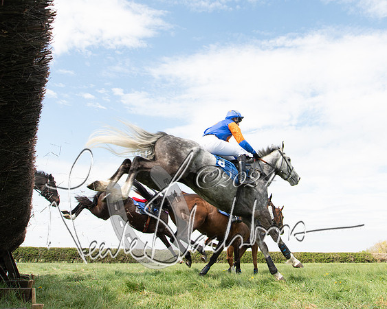 Race 2 - The Elliott of London maiden race (46 of 137)