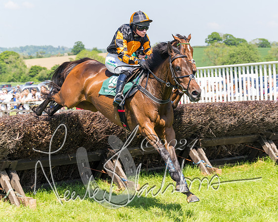 Race 1 - Members (162 of 312)