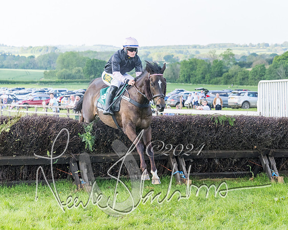 Race 7 - Veteran Horse (42 of 246)