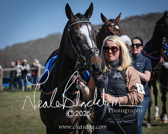 Race 2 - The Maiden (19 of 118)