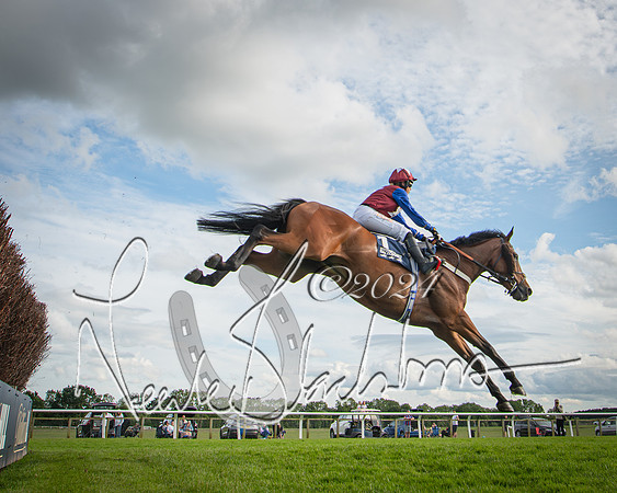 Race 2 - Olly Murphy Racing Stratford Ladies Open (51 of 111)