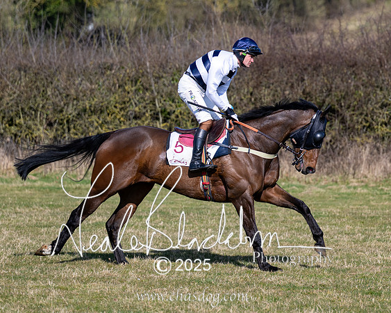 Race 1 - Maiden (35 of 188)