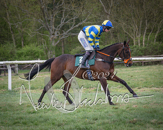 Race 7 - The Jockey Club maiden race for Mares and Fillies only (14 of 96)