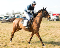 Race 2 - Open Maiden (8 of 101).jpg