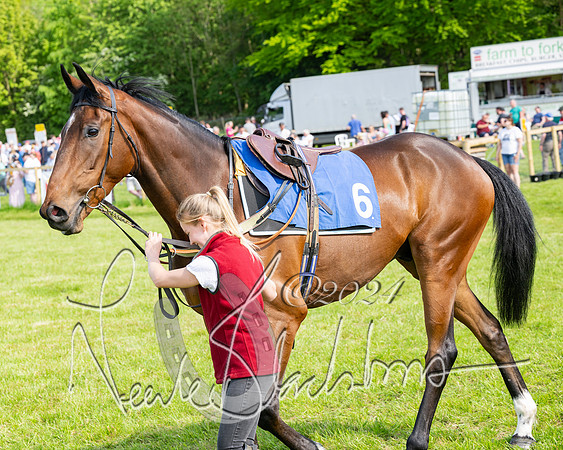 Race 5  - Maiden race 2m5F Div-1 (17 of 197)