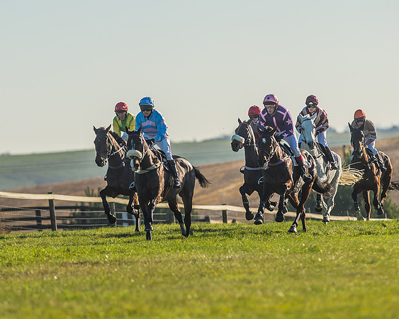 Race 1 - PPORA Novice Riders Race-17