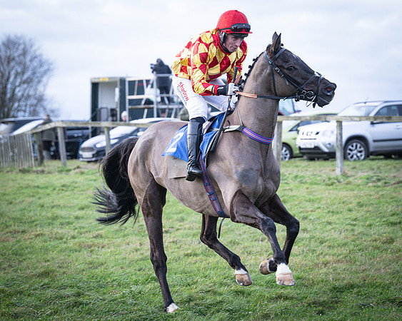 Race 7 - Maiden Conditions (11 of 164)
