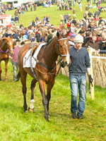 Old Berks at Lockinge Restricted Race