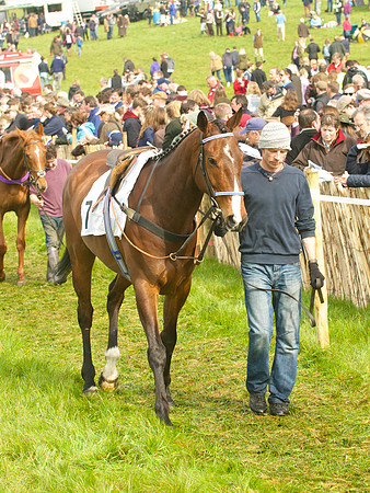 Old Berks at Lockinge Restricted Race