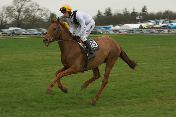 Race 5 - 15