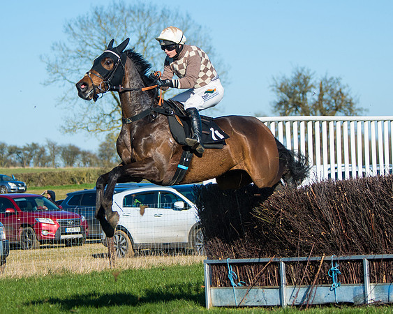 Race 6 - Restricted  (121 of 291)