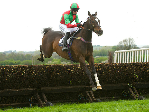 Kimblewick Hunts Point to Point at Kingston Blount Racecourse on Saturday 12th April 2014 Race 1 Confined Hunts Race.