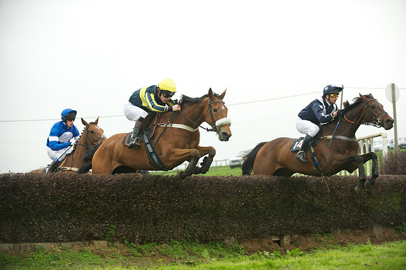 Race 2 - Novices 38