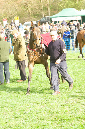 Race 7 - Restricted 8