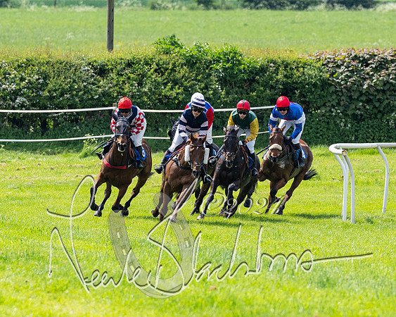 RAce 1 - Conditionsn [Level 2] (123 of 219)