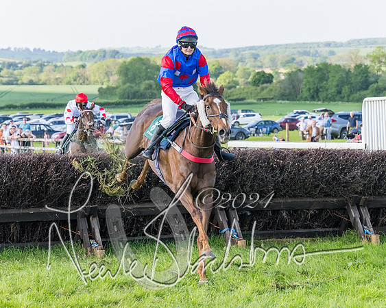 Race 7 - Veteran Horse (127 of 246)
