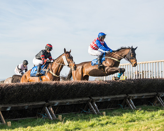 Race 5 - Restricted (19 of 146)
