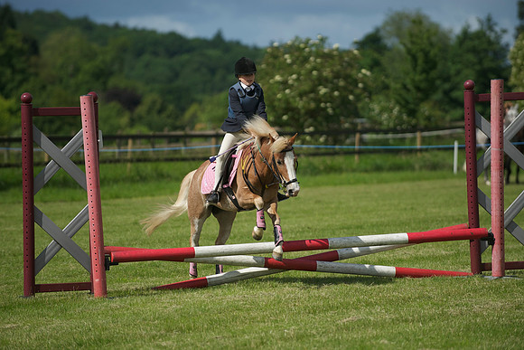 SOHS PC Summer Show at BCA 17th June 2012