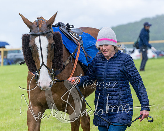Race 1 - Owner-Trainer Conditions  (24 of 392)