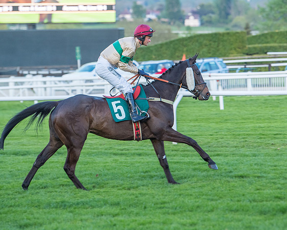 Race 7 - Glos Hussars  (65 of 245)
