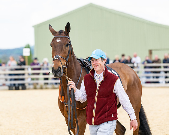Race 2 - 2M4F Conditions (12 of 195)