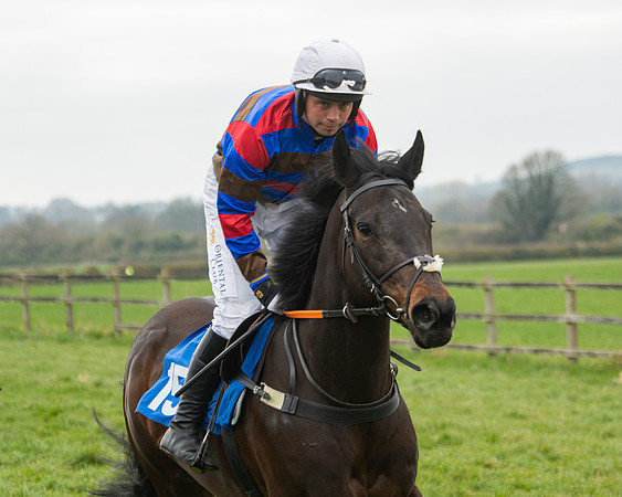 Race 3 - Open maiden  (15 of 273)