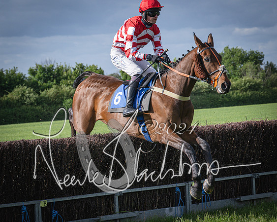 Race 6 - Thorn Plant Hire Maiden Race (57 of 129)
