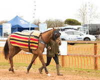 Race 6 - Open Maiden (8 of 120).jpg