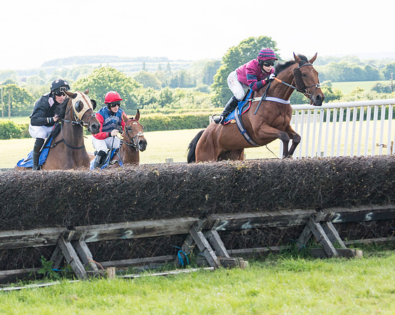 Race 6 - Open Maiden (86 of 227)