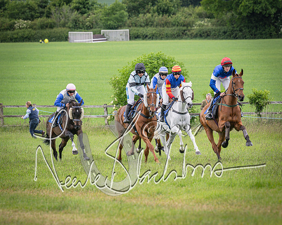 Race 2 - PPORA Members conditions race for Novice riders (49 of 127)