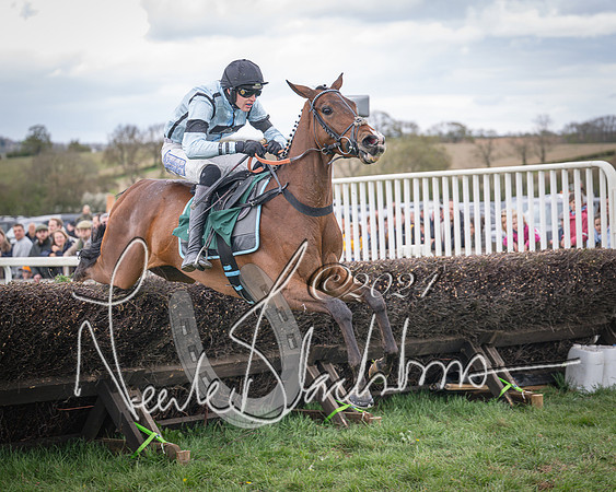 Race 2 - Tattersalls Cheltenham 4 year old Maiden (61 of 85)