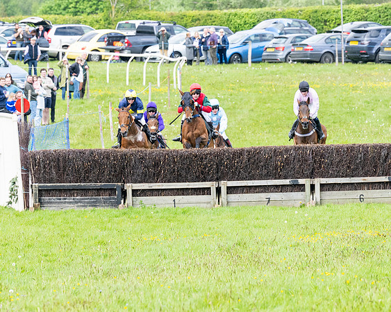 Race 2 - Veteran Horse (28 of 80)
