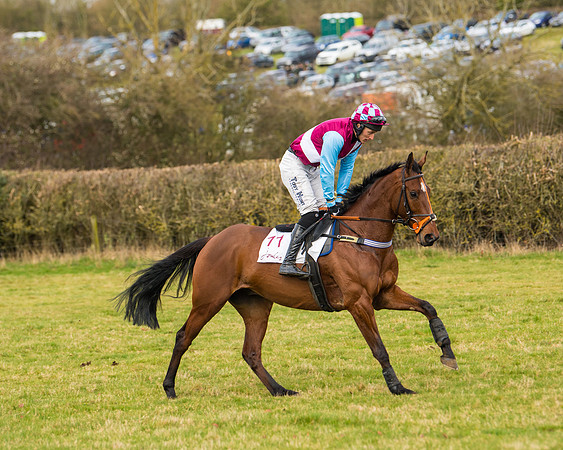 Race 3 - Restricted  (7 of 100)