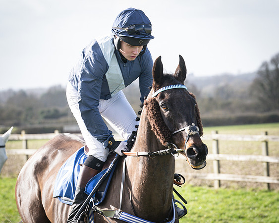 Race 5 - Home counties Grand National (26 of 194)