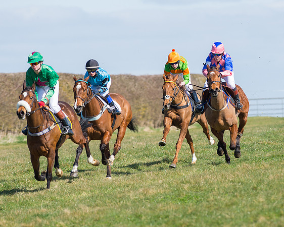 Oakley Ponies (75 of 96).jpg