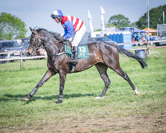 Race 6 - 2m5f Conditions (18 of 70)