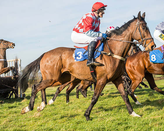 Race 5 - Restricted (38 of 146)