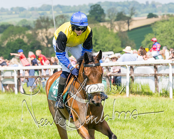 Race 2 - The Maiden  (65 of 442)