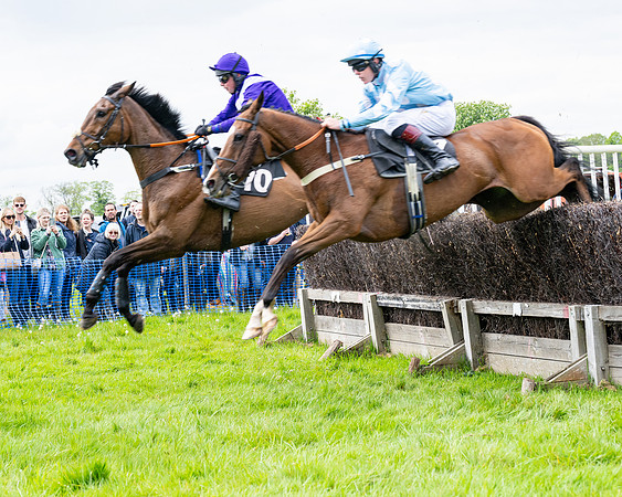 Race 2 - Veteran Horse (51 of 80)
