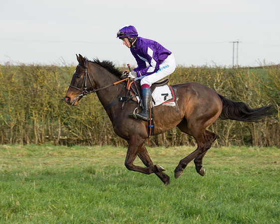 Race 6 - Open Maiden Race (30 of 99).jpg