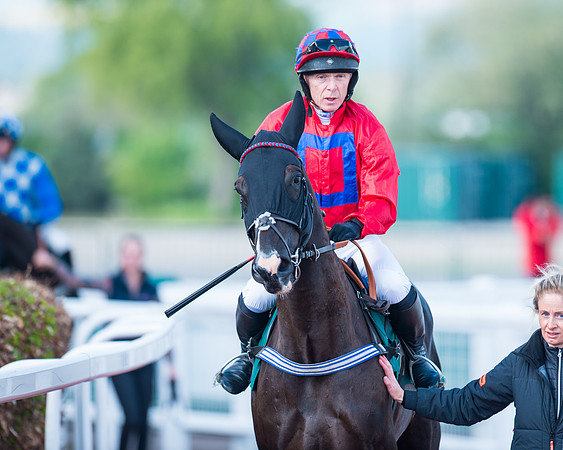 Race 1 - The open Hunter chase  (41 of 95)