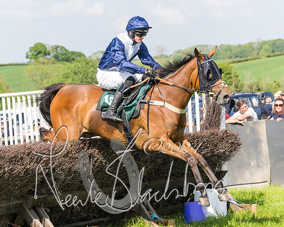 Race 4 - PPORA Novice Riders Final  (244 of 362)