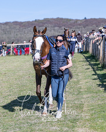Race 5 - The restricted (9 of 113)