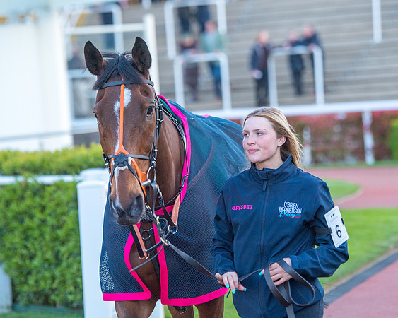 Race 7 - Glos Hussars  (30 of 245)