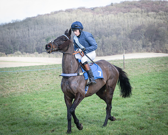 Race 5 - Home counties Grand National (51 of 194)