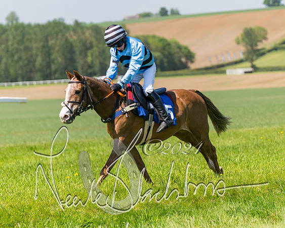 Pony Races  (53 of 141)