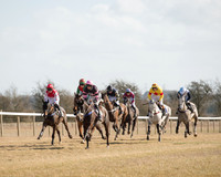 Race 1 - Young Horse Maiden