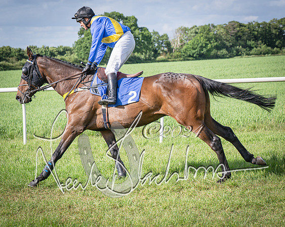 Race 6 - Thorn Plant Hire Maiden Race (29 of 129)