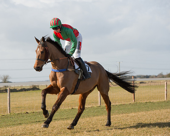Race 1 - 4-5-6 Maiden (42 of 119).jpg